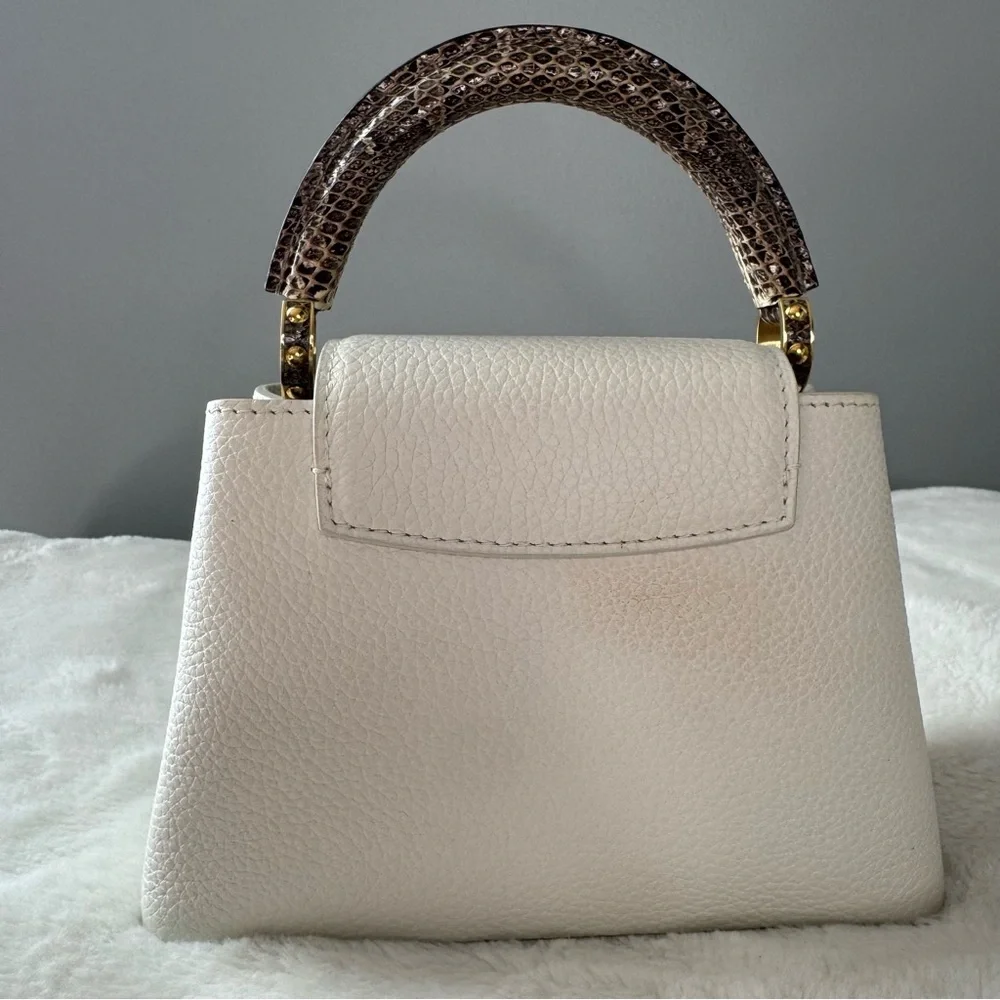 Louis Vuitton Taurillon & Python Leather Capucines Mini Handbag - Picture 5 of 16